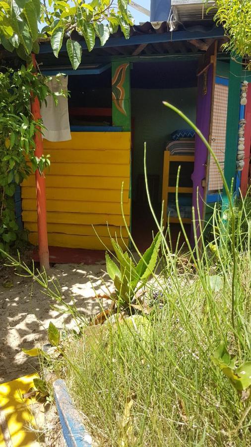 Ajo Aloha Hostel 凯博波洛尼奥 外观 照片
