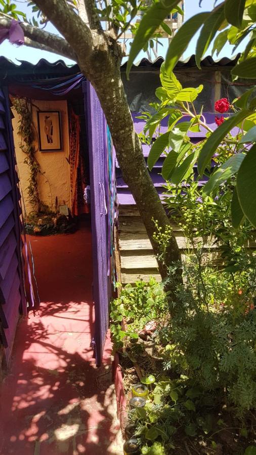 Ajo Aloha Hostel 凯博波洛尼奥 外观 照片